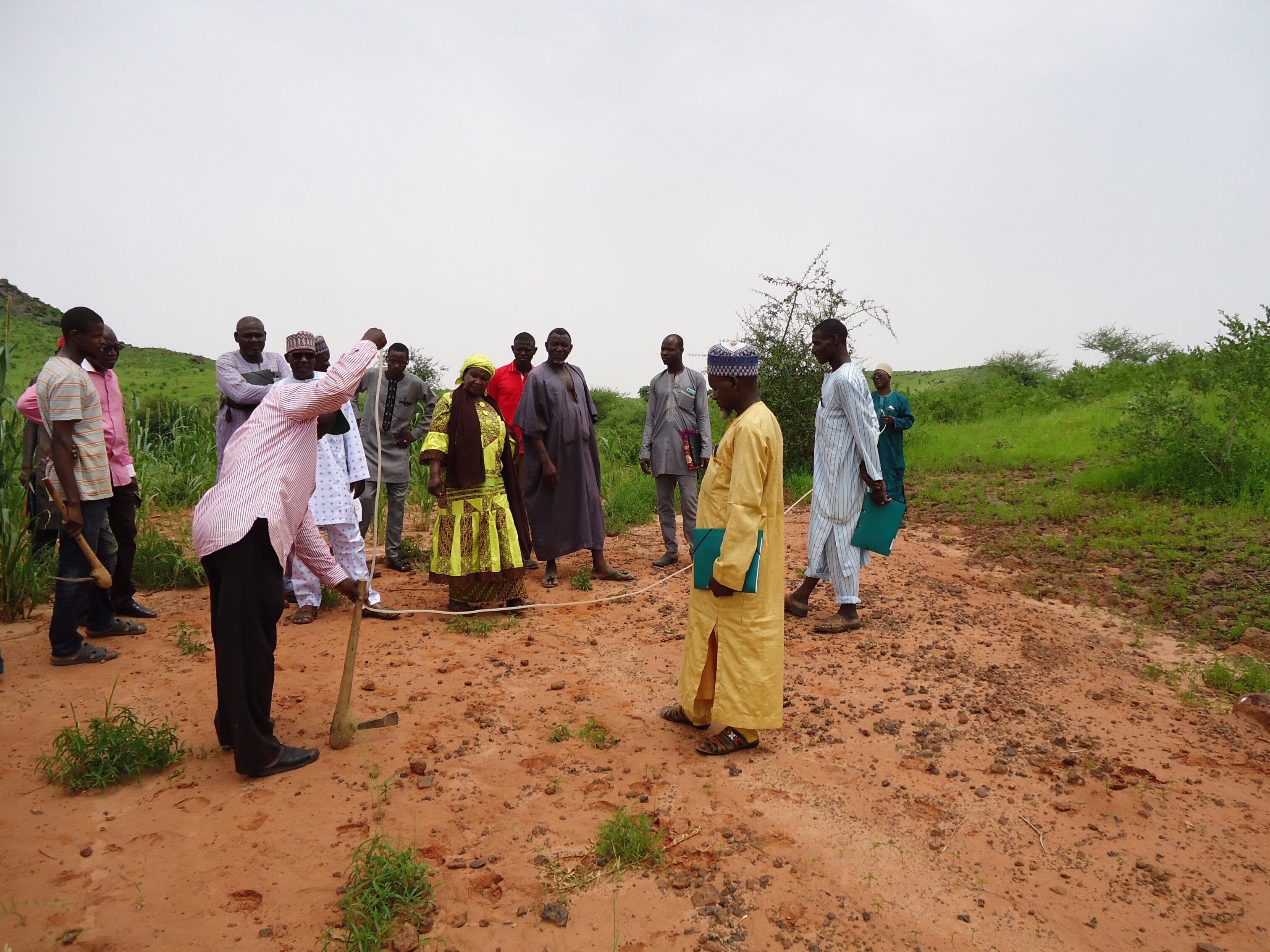 Farmers in Niger using sustainable agricultural techniques