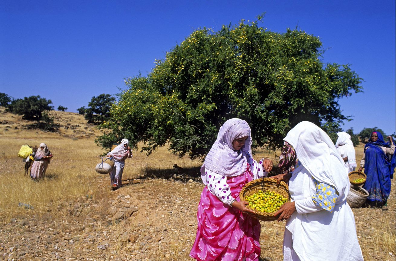 Créer des espaces sûrs et autonomes pour les femmes de la filière arganière du Maroc