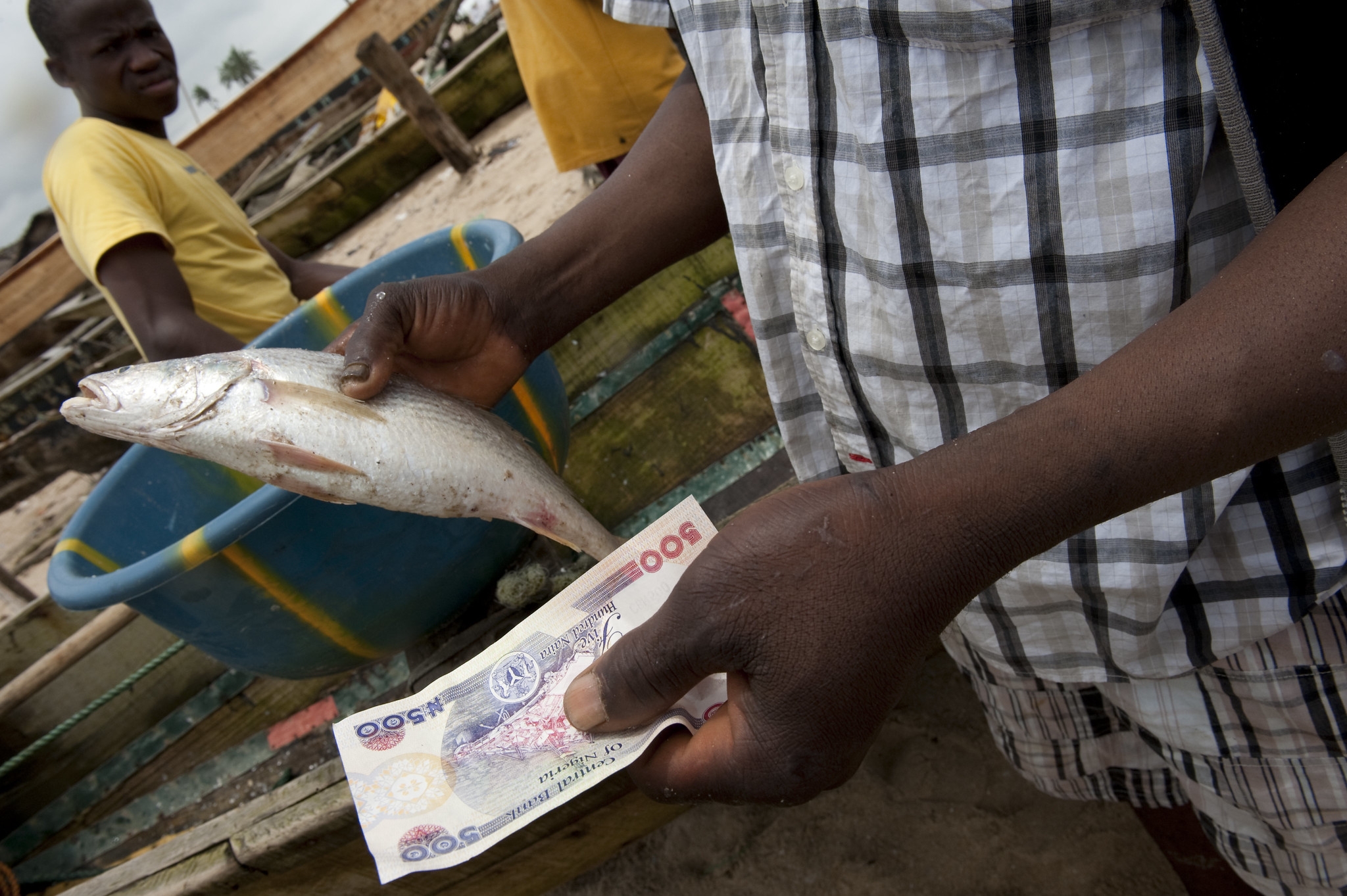 New funding from IDRC will help better inform policy options to address food price shocks in Africa’s fragile contexts