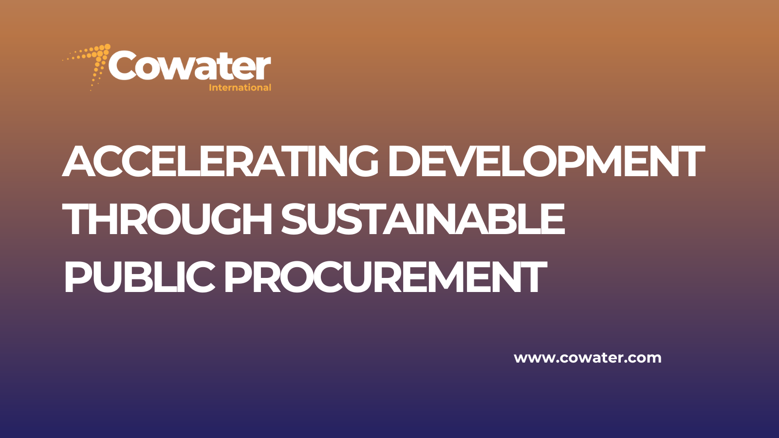 Accelerating development through Sustainable Public Procurement