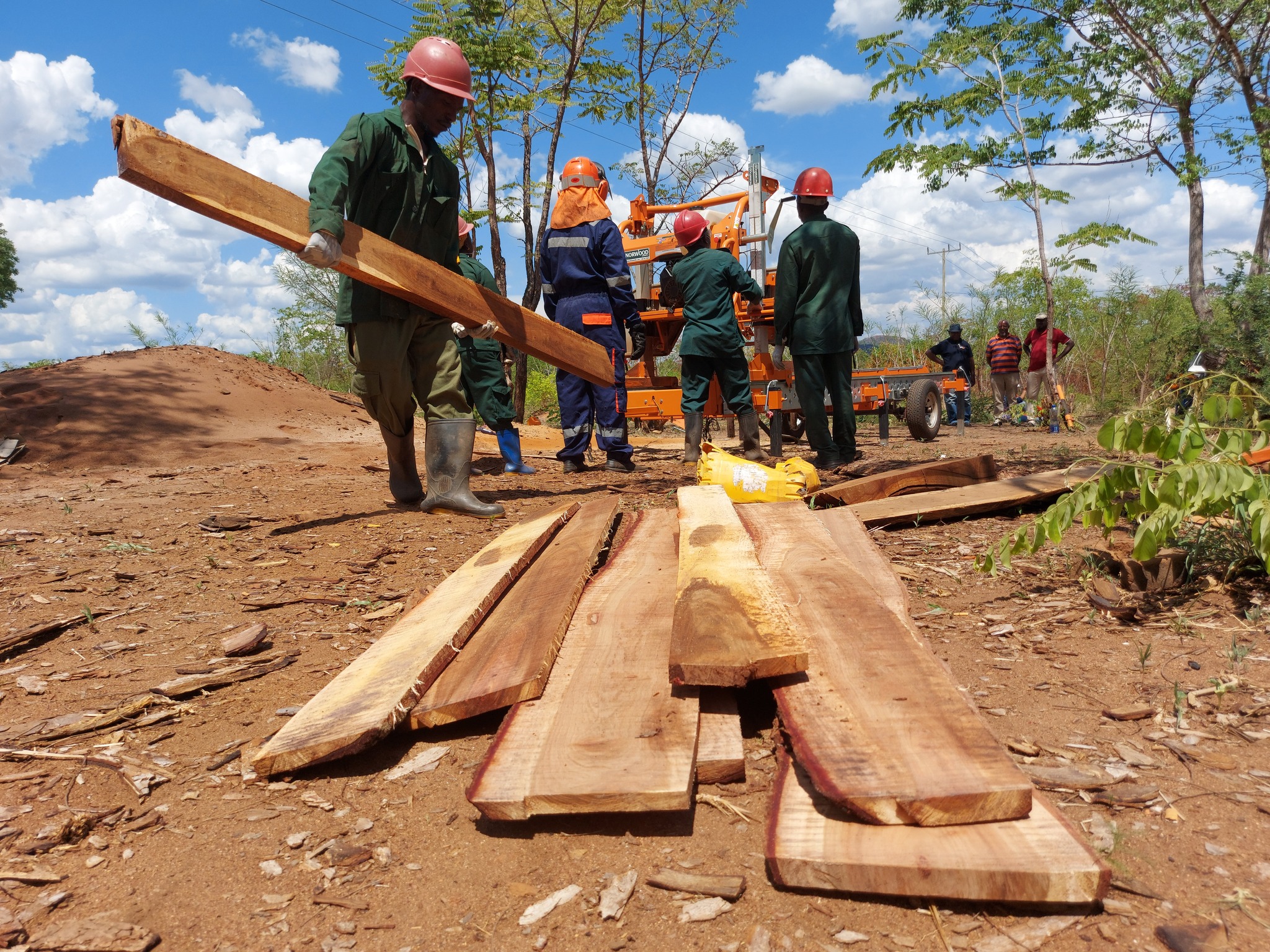 Tanzanian–Finnish collaboration supporting a ‘use it or lose it’ approach in Tanzanian Community Based Forest Management